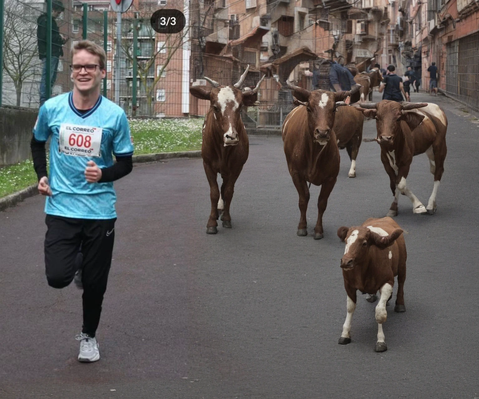 San Fermin. Bulls.