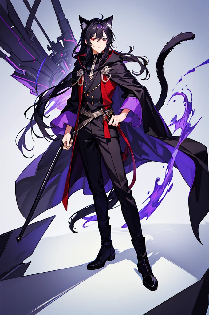 Black Hair少年,Around fifteen years old,Black Hair,Cat ear,Cat tail,Purple cloak,Heterochromia,Red left eye,Blue right eye,White shirt,Purple cloak,Standing,whole body,For the audience,White background,masterpiece,HD,4K,Detailed facial depiction,Black trousers,Black boots,Black Hair,White background(1:5)
