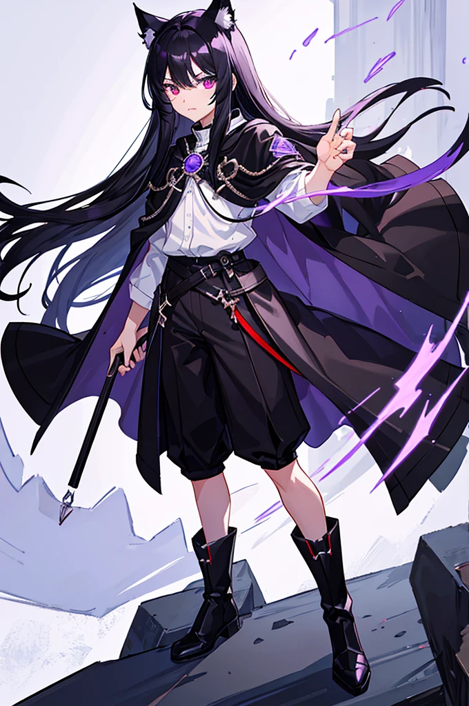 Black Hair少年,Around fifteen years old,Black Hair,Cat ear,Cat tail,Purple cloak,Heterochromia,Red left eye,Blue right eye,White shirt,Purple cloak,Standing,whole body,For the audience,White background,masterpiece,HD,4K,Detailed facial depiction,Black trousers,Black boots,Black Hair,White background(1:5)