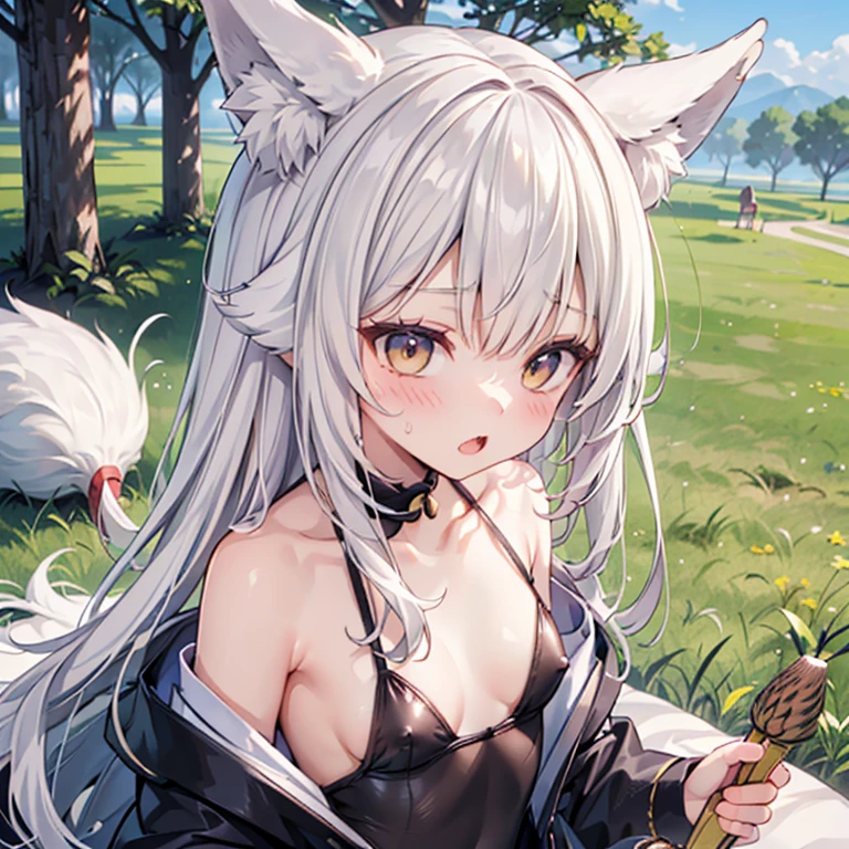 (Fox Girl, Fox Ears, Silver Hair, Fox Makeup, One Girl, Long Hair:1.6), (kimono, Open-chested clothing, Black leotard, I can see her cleavage, Open chest, Skin is visible:1.8), (Body measurements are 75-60-75!, Young girl body, Small breasts, Small breasts, Emphasize the chest, Playing with shuttlecock:1.9), Avatar, face, lewd face, Dominant representation, naughty face, Uplifting, Skin Texture, outside, Grassy field