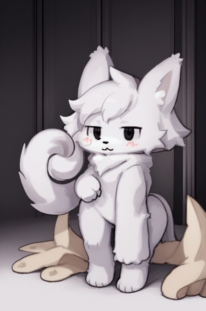 Super cute little animals,White furry fur and white powder elements,美丽的灯Light和阴影,环境Light,Ultrafine fur,Black Hoodie,Light