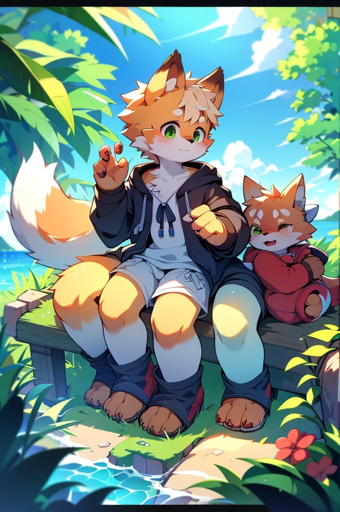 Furry,Fox,boy,8k resolution,最high resolution, high resolution,Seascape,In a hoodie,Green Eyes,summer