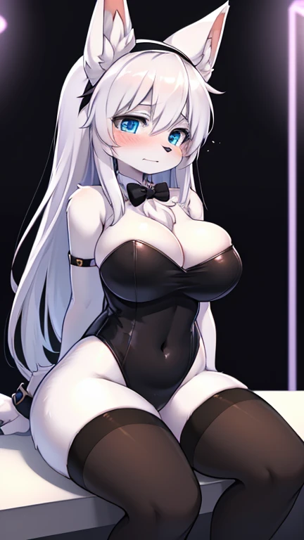 best quality, best resolution, (fluffy anthro furry), arctic fox girl, silver hair, fox ears, blue eyes, (white fur), long straight hair, big breast, sophisticated manner, (black strapless leotard, fishnet pantyhose, bowtie, cuffs, headband w/ long black rabbit ears), sitting, night club, embarrassed expression, cash stuufed into cleavage