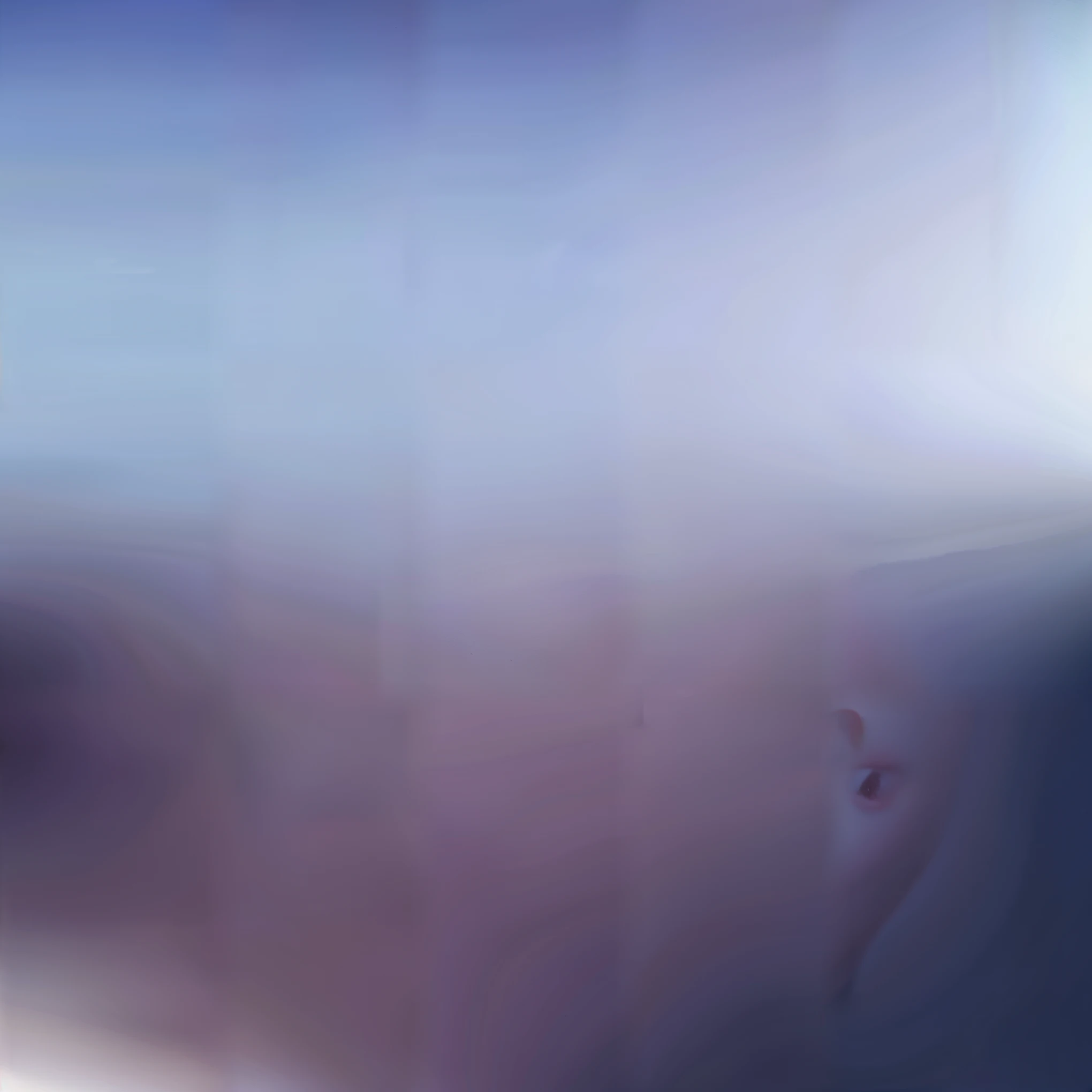 ((best quality)), ((masterpiece)), (detailed), 1 Girl, black, nude,