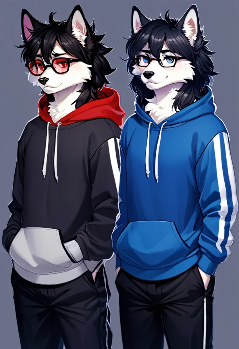 hairy, black eyes, Duet, hairy男, , Body hair, Fluffy fur, White paws, Blue and white fur, Dark blue sweatshirt, Black pants, Black Hair, Gray ears, Gradient hair, Colorful hair, Black glasses, hairy尾巴, Red Stripes, short hair, Bangs, hood, boring, Serious, Black Hair, Big Dick, 