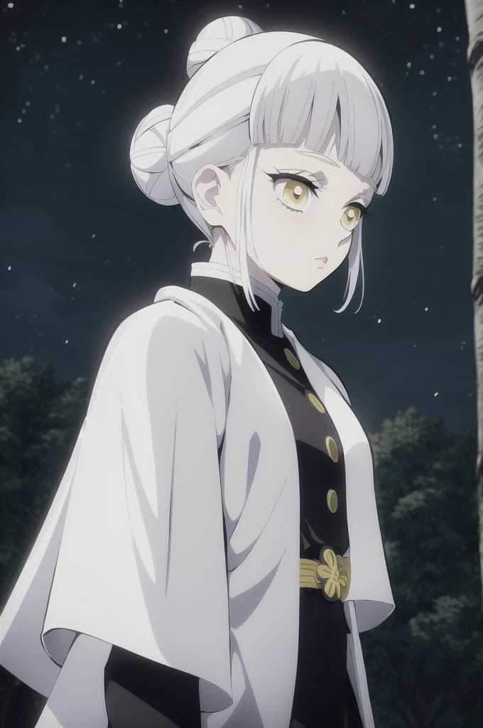 kimetsu no yaiba style, 1girl, white hair in a bun, demon slayer uniform, solo, yellow eyes,holds a katana ,white hair, black cape, cape, outdoors, bangs, tree,, anime coloring, ((masterpiece)) , night background , beautiful girl, cute, solo.