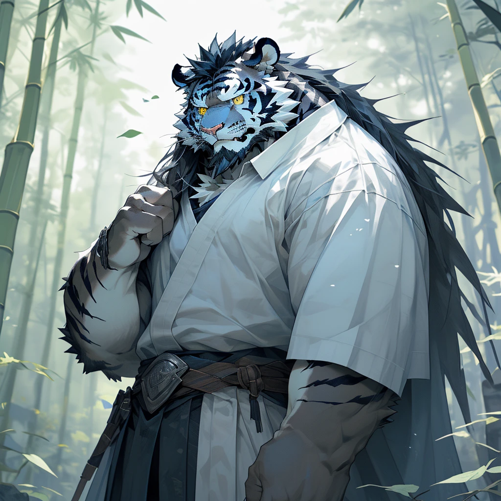 白色皮肤tiger),(黑白阴阳General战袍),Holding a long sword,坚Strong姿态,Stand calmly,(The background is a dark forest，Full of bamboo:1.2),abdominal muscles,Heroic Stance飒爽,完美的masterpiece,Various facial details,Perspective from a distance,specific description,masterpiece,CG,(Golden Eyes),Black and white pattern,Crimson Tail,General,Heroic Stance,tiger,Black and white fur,Specific facial details,Half Body,(黑白阴阳General战履),(Chang Ling),((middle aged)),(Face Focus),(16K),HD,Black and white belly，wilderness,beard,(Noodle),Different students,(Black and white yin and yang shirt),(Black and white hair),Strong,muscle,(high resolution:1.3),(Standing deep in the desolate bamboo forest),(close up),(Delicate face:1.5),Perfect details,(Half Body),(Facial details:1.5),(Zoom in on the face:1.5),(白色Noodle:1.2),(黑色beard:1.3),(white face;1.6),White body