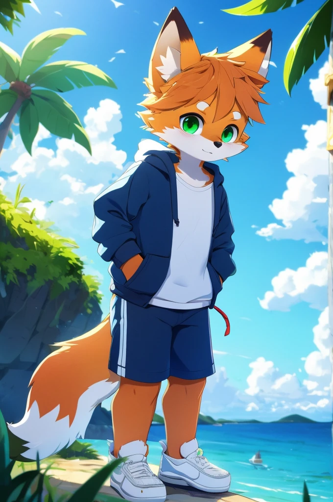 Furry,Fox,boy,8k resolution,最high resolution,                   high resolution,Seascape,In a hoodie,Green Eyes,summer