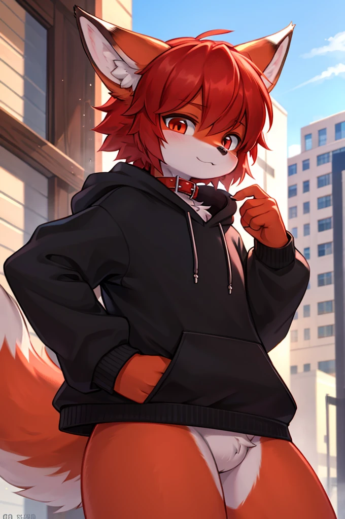 fox boy,Red Hair,8k resolution,high resolution,最high resolution,Red collar,Wearing a black and white hoodie!