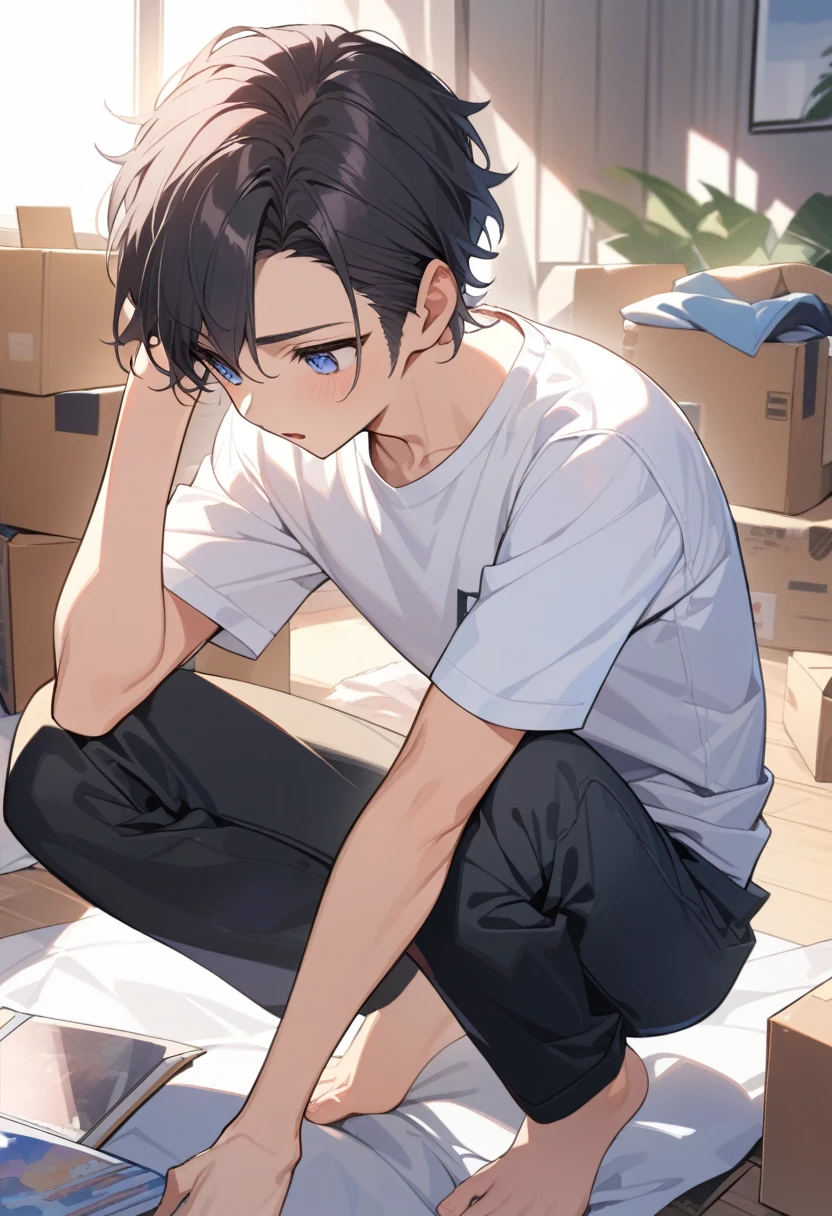 masterpiece, best quality, extremely detailed, ultra detailed, flat anime, 2D,
((1boy)),black hair, (short hair:1.5),blue eyes, height 1.7meters, (circle eyes:1.2), (young adult:1.2), Ear-length sideburns,
long Sleeves, White T-shirt, barefoot, ((short sleeves)), ((long pants)),
squatting, looking away, expressionless,open mouth, full body,three-quarter view,
summer, 12AM, livingroom,organizing the boxes., I'm looking at the material in my hand.