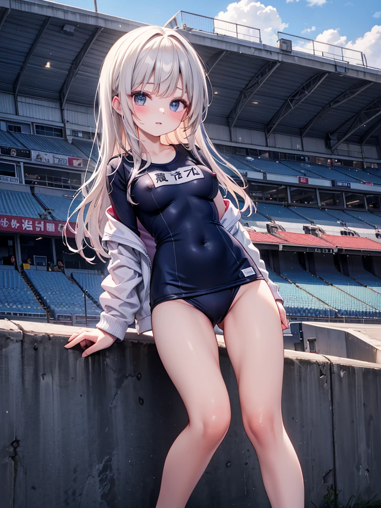 RAW Photos, Highest quality, High resolution, Very detailed、 8K image quality、、Nipples are visible、A friendly duo、Stadium、Gold gym suit、School Swimsuit