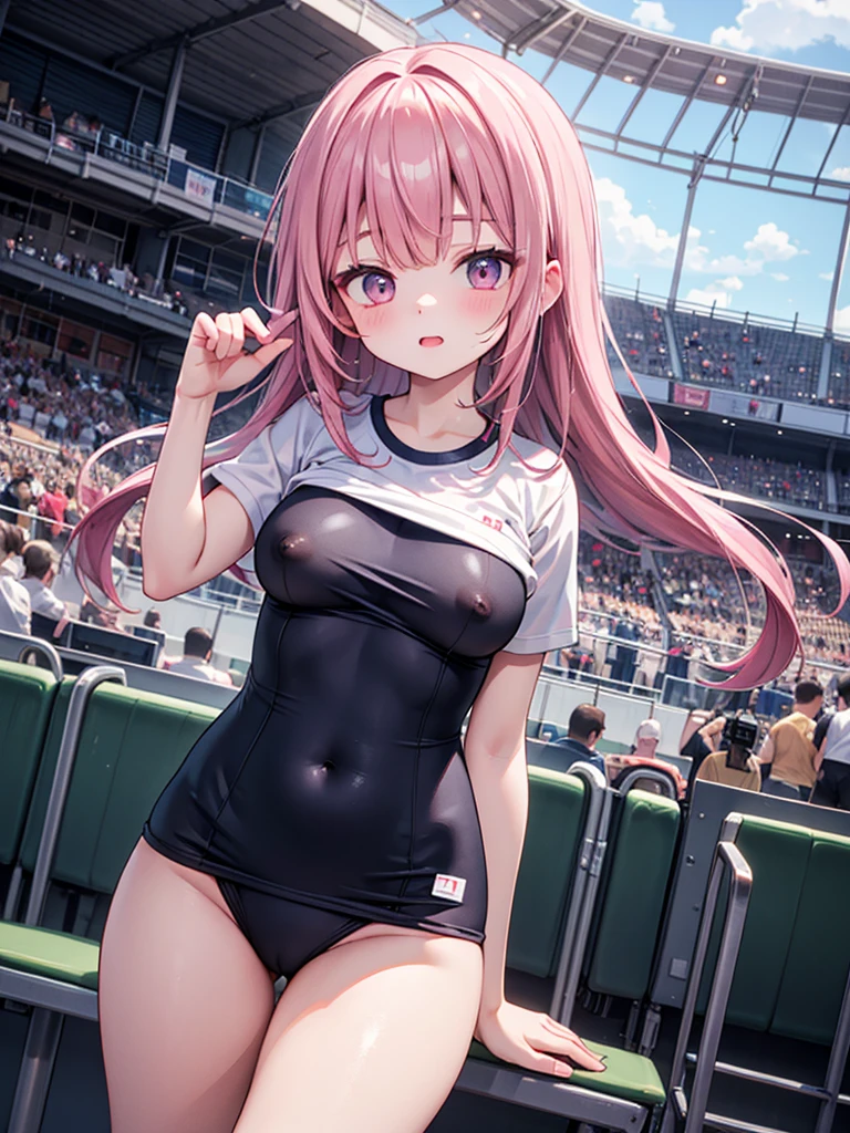 RAW Photos, Highest quality, High resolution, Very detailed、 8K image quality、、Nipples are visible、A friendly duo、Stadium、Pink gym clothes、School Swimsuit