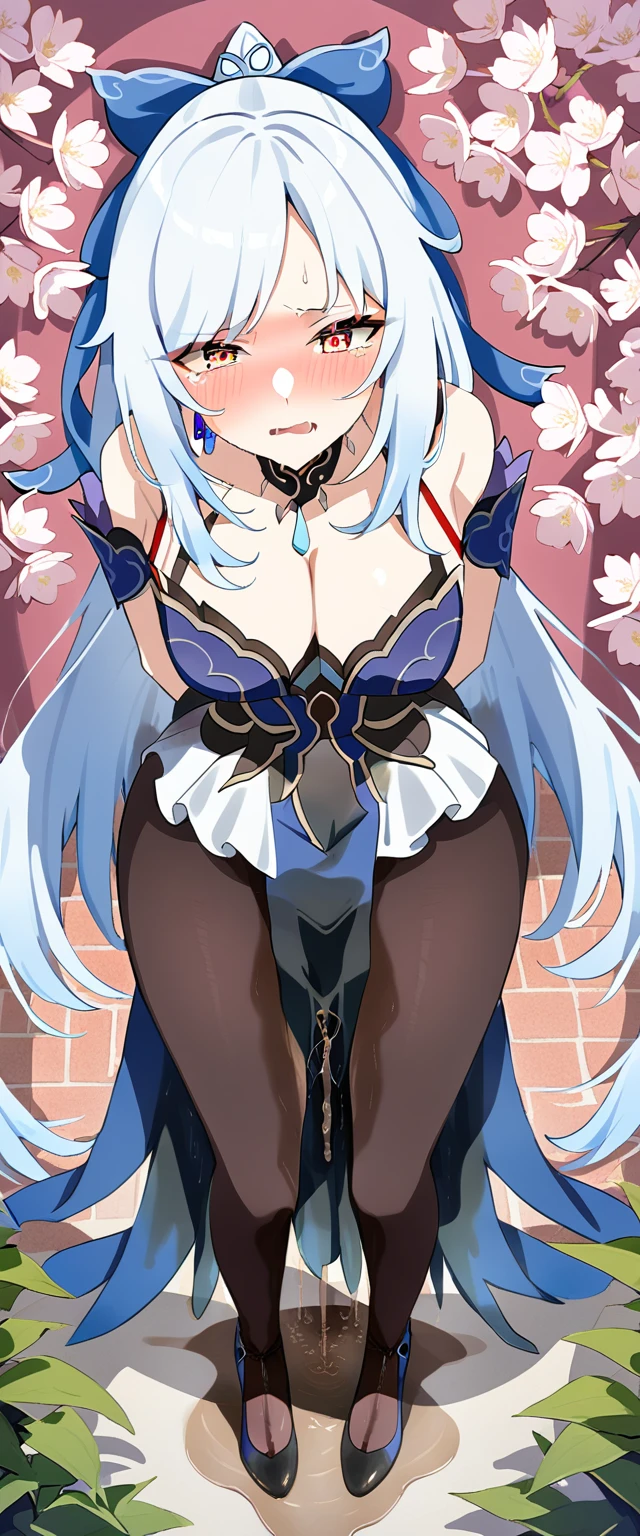(masterpiece:1.37), best quality, (extremely detailed:1.37), (1girl:1.5), woman, (mature:1.5), (adult:1.5), jingliu, white hair, long hair, ponytail, hair ribbon, red eyes, earrings, jewelry, dress, pantyhose, (pelvic curtain:1.5), (extremely detailed eyes:1.37), (wetting self:2.0), desperation, (standing:1.5), embarrassed, humiliation, blushing, angry, cherry blossoms, garden, (golden hour:1.5), full body, from above