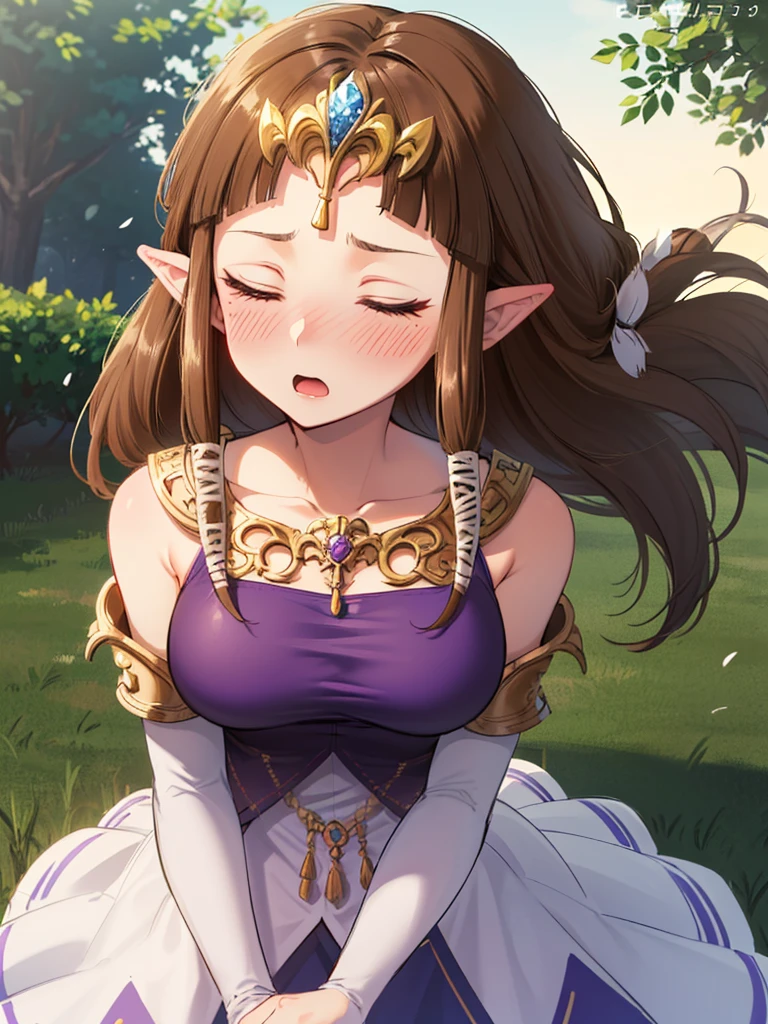 ((((Very beautiful mature woman)))),((surprised),((Scared)),((Close your eyes)),((((Exposed shoulders)))),(((look up))),,(((There is a hair ornament on the front)),,(((Long Hair)))),((Big Breasts)),((((Exposed shoulders)))),((My hair is blowing in the wind)),Princess Zelda, ((Highest quality)),,(Very detailed) ,,((Purple blouse)),Brown Hair,((Embarrassed look)),blush, ((Highest quality)), (Very detailed), ,(((Dark brown hair))),Nintendo, (Straight hair), face,blush,((alone)), ((Highest quality)), (Very detailed), ,