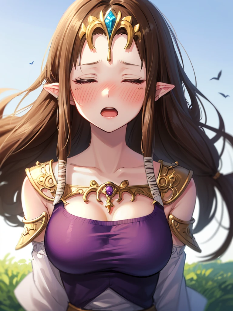 ((((Very beautiful mature woman)))),((surprised),((Scared)),((Close your eyes)),((((Exposed shoulders)))),(((look up))),,(((No bangs)),,(((Long Hair)))),((Big Breasts)),((((Exposed shoulders)))),((My hair is blowing in the wind)),Princess Zelda, ((Highest quality)),,(Very detailed) ,,((Purple blouse)),Brown Hair,((Embarrassed look)),blush, ((Highest quality)), (Very detailed), ,(((Dark brown hair))),Golden hair ornament, (Straight hair), face,blush,((alone)), ((Highest quality)), (Very detailed), ,