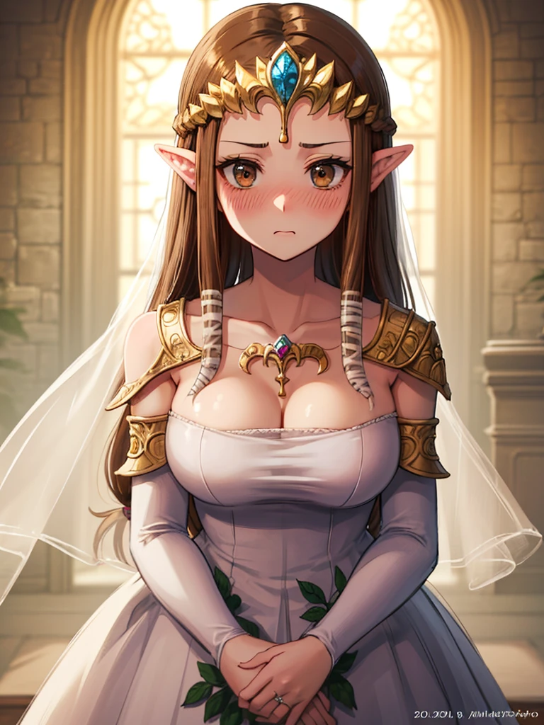 ((surprised),((Scared)),((valley)),((((Exposed shoulders)))),(((look up))),,(((Golden hair ornament)),,(((Long Hair)))),((Big Breasts)),((((Exposed shoulders)))),((front)),Princess Zelda, ((Highest quality)),,(Very detailed) ,,((Wedding dress)),Brown Hair,((Embarrassed look)),blush, ((Highest quality)), (Very detailed), ,(((Dark brown hair))),Nintendo, (Straight hair), face,blush,((alone)), ((Highest quality)), (Very detailed), ,