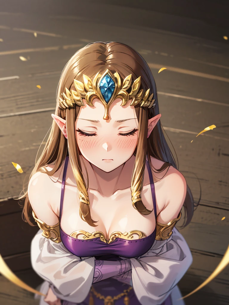 ((surprised),((Scared)),((valley)),((((Exposed shoulders)))),(((look up))),,(((Golden hair ornament)),,(((Long Hair)))),((Big Breasts)),((((Exposed shoulders)))),((front)),Princess Zelda, ((Highest quality)),,(Very detailed) ,((Purple blouse)),Brown Hair,((Embarrassed look)),blush, ((Highest quality)), (Very detailed), ,(((Dark brown hair))),Nintendo, (Straight hair), face,blush,((Close your eyes)), ((Highest quality)), (Very detailed), ,