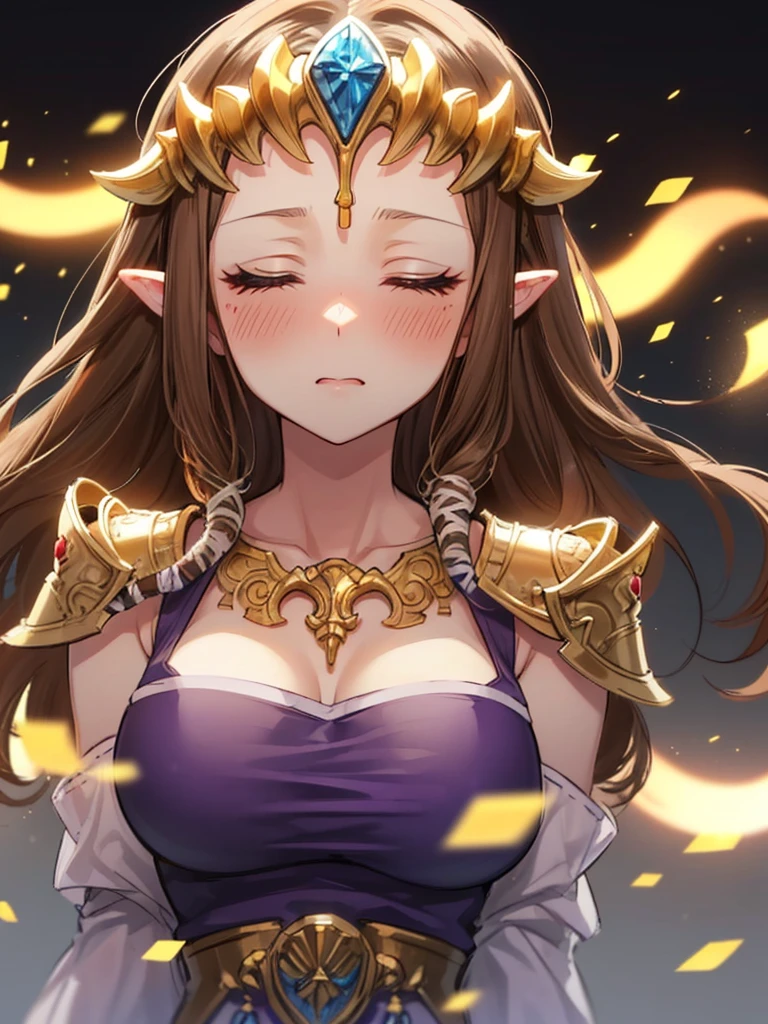 ((surprised),((Scared)),((valley)),((((Exposed shoulders)))),(((look up))),,(((Golden hair ornament)),,(((Long Hair)))),((Big Breasts)),((((Exposed shoulders)))),((front)),Princess Zelda, ((Highest quality)),,(Very detailed) ,((Purple blouse)),Brown Hair,((Embarrassed look)),blush, ((Highest quality)), (Very detailed), ,(((Dark brown hair))),Nintendo, (Straight hair), face,blush,((Close your eyes)), ((Highest quality)), (Very detailed), ,