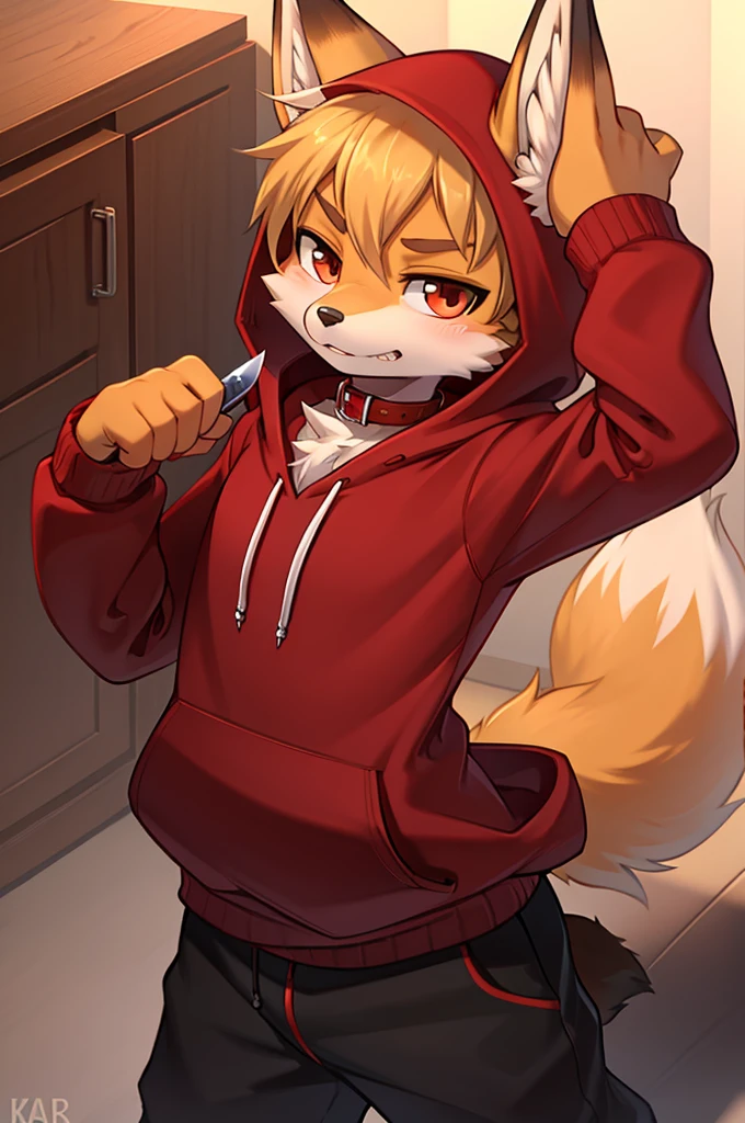 fox boy,Red collar,4K resolution,Boy in hoodie with knife in hand, Intimidation,Cool with both hands,Red hoodie