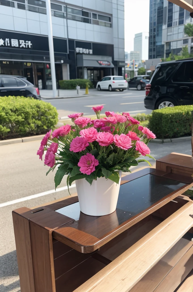 菊 Wi-Fi