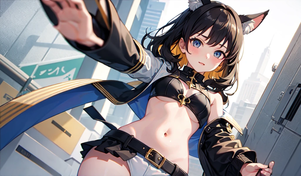 ((Highest quality)), ((masterpiece)), (detailed), One girl, Animal ears girl,Angle from below