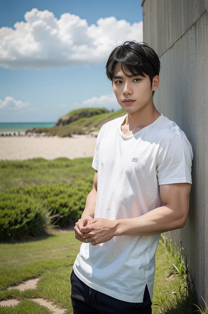 A young Asian man stands, handsome, muscular, looking at the camera. In a simple black t-shirt, Fieldside, grass, beach, sunlight