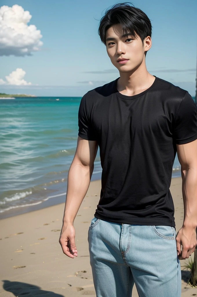 A young Asian man stands, handsome, muscular, looking at the camera. In a simple black t-shirt, Fieldside, grass, beach, sunlight