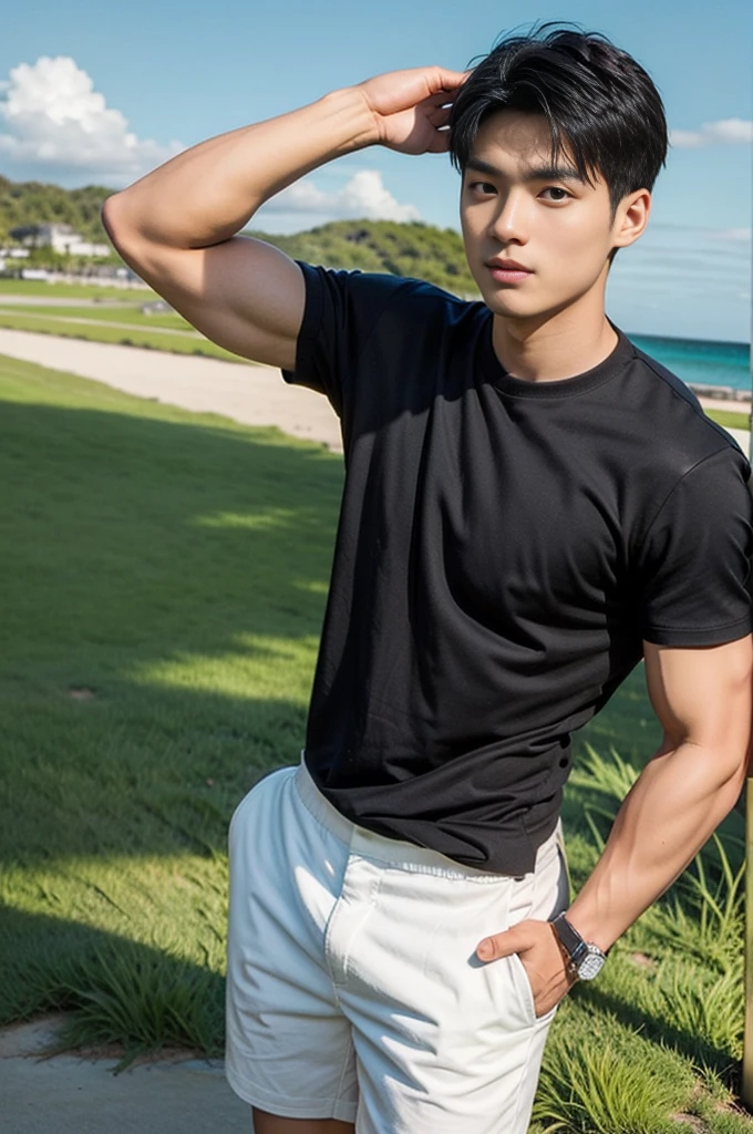 A young Asian man stands, handsome, muscular, looking at the camera. In a simple black t-shirt, Fieldside, grass, beach, sunlight