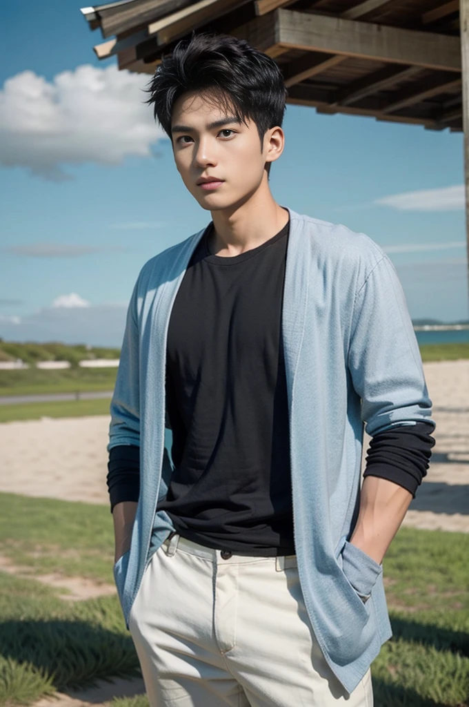 A young Asian man stands, handsome, muscular, looking at the camera. In a simple black t-shirt, Fieldside, grass, beach, sunlight