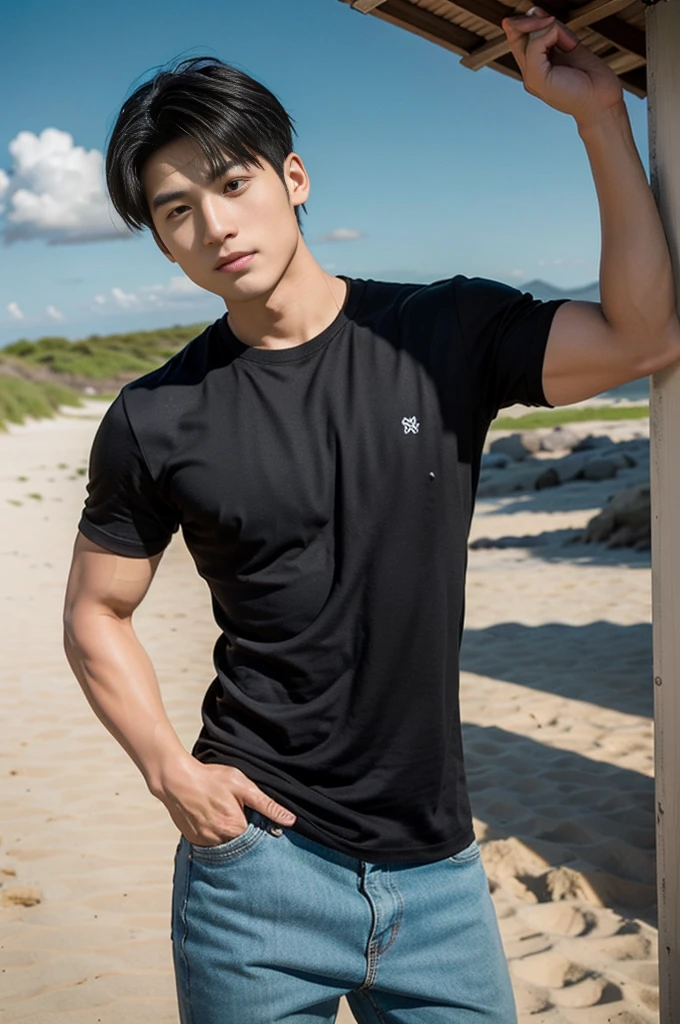 A young Asian man stands, handsome, muscular, looking at the camera. In a simple black t-shirt, Fieldside, grass, beach, sunlight