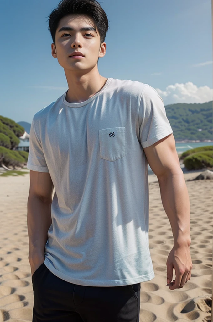 A young Asian man stands, handsome, muscular, looking at the camera. In a simple black t-shirt, Fieldside, grass, beach, sunlight