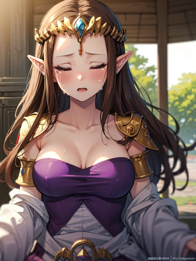 ((Very detailed and beautiful face)),((Please show me your armpits)),((close up of face)),((((Exposed breasts)))),(((Reluctant)),((Exposed shoulders)),((((Upper Body)))),((Are crying)),,((alone))Anime art style,masterpiece,(Highest quality), (Very detailedな),(Very delicate and beautiful),(alone),(Detailed face ),(((片Close ~ eyes))),(((((Mature Woman,Queen))))),((Very beautiful portrait)),((crinoline)),,((Straight Long Hair),((Close ~ eyes)),((Open your mouth)),((Lewd)),(((Purple blouse))),((Embarrassed expression)),((Dark brown hair)),Blushing,Princess Zelda, ((Highest quality)), (Very detailed), ,(((constrained))),beauty,beautiful,Princess Zelda, ticker,)),
((steam)),nintendo, the legend of zelda