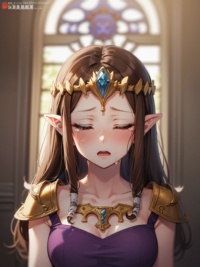 ((Very detailed and beautiful face)),((Please show me your armpits)),((close up of face)),((((Exposed breasts)))),(((Reluctant)),((Exposed shoulders)),((((Upper Body)))),((Are crying)),,((alone))Anime art style,masterpiece,(Highest quality), (Very detailedな),(Very delicate and beautiful),(alone),(Detailed face ),(((片Close ~ eyes))),(((((Mature Woman,Queen))))),((Very beautiful portrait)),((crinoline)),,((Straight Long Hair),((Close ~ eyes)),((Open your mouth)),((Lewd)),(((Purple blouse))),((Embarrassed expression)),((Dark brown hair)),Blushing,Princess Zelda, ((Highest quality)), (Very detailed), ,(((constrained))),beauty,beautiful,Princess Zelda, ticker,)),
((steam)),nintendo, the legend of zelda