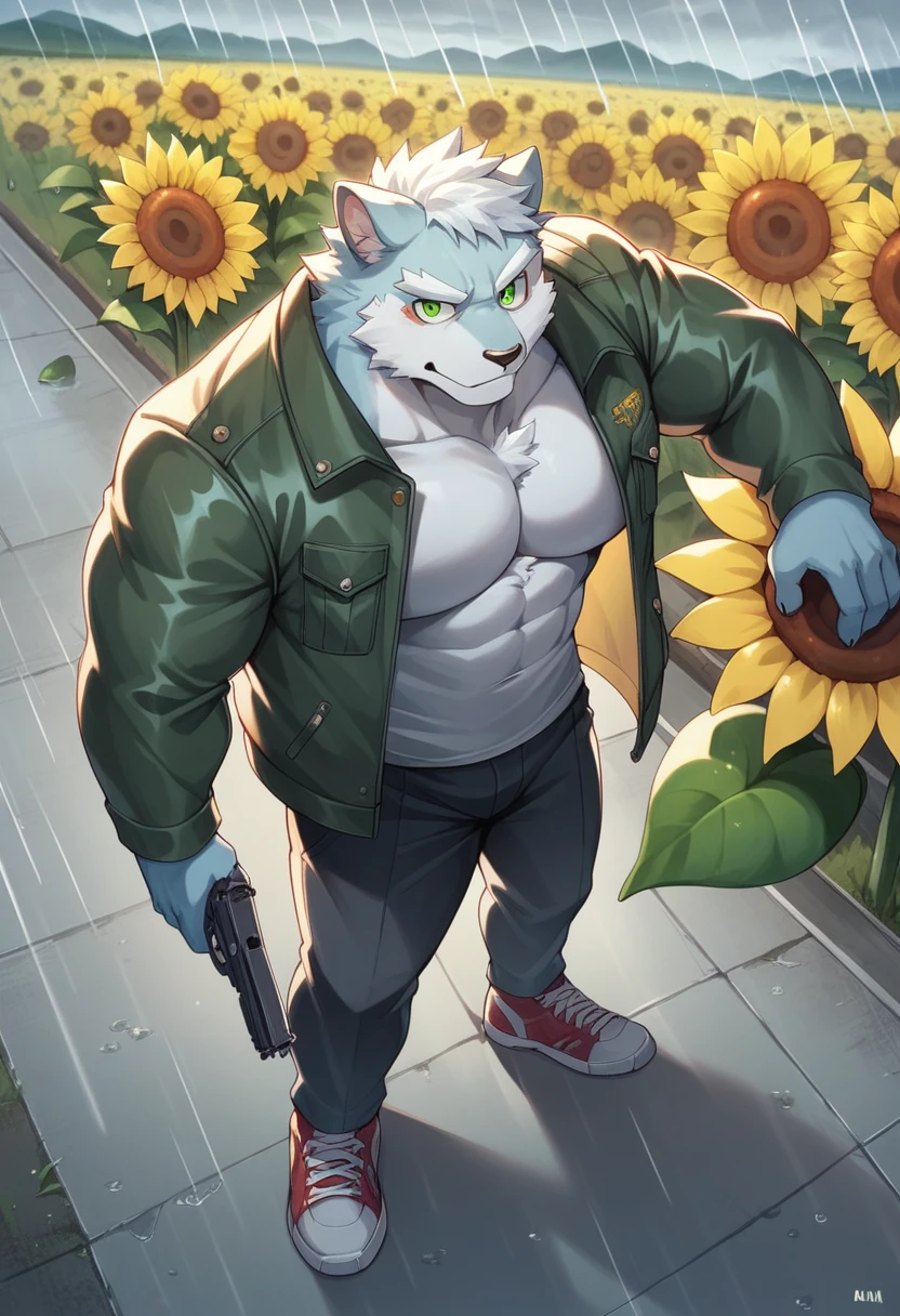 Masterpiece, Best Quality, absurd resolution, ultra detailed, perfect ???????,
monomasa,
por canandne khai, for you.and.stars, (by DRKS:0.28), (by Pino Daeni:0.8),
furry, muscular male, lobo, well-built, Alone, green pupils, sneakers,
Jacket, dress, dynamic angle, high angle view, Blade, holding gun,
rain, cloudy, urban landscape, Sunflower field