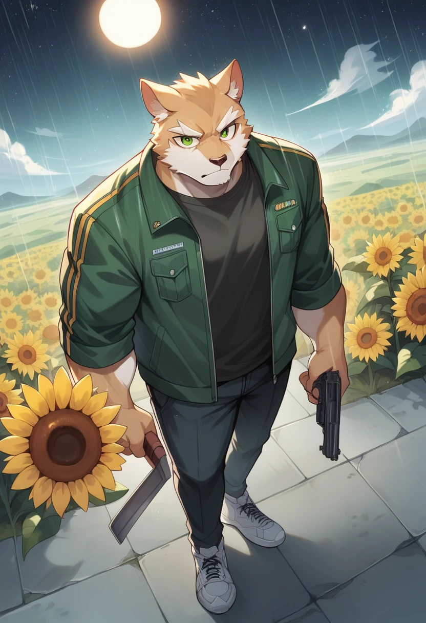 Masterpiece, Best Quality, absurd resolution, ultra detailed, perfect anatomy,
monomasa, 
por canandne khai, for you.and.stars, (by DRKS:0.28), (by Pino Daeni:0.8),
furry, muscular male, lobo, well-built, Alone, green pupils, sneakers, 
Jacket, dress, dynamic angle, high angle view, Blade, holding gun, 
rain, cloudy, urban landscape,  Sunflower field