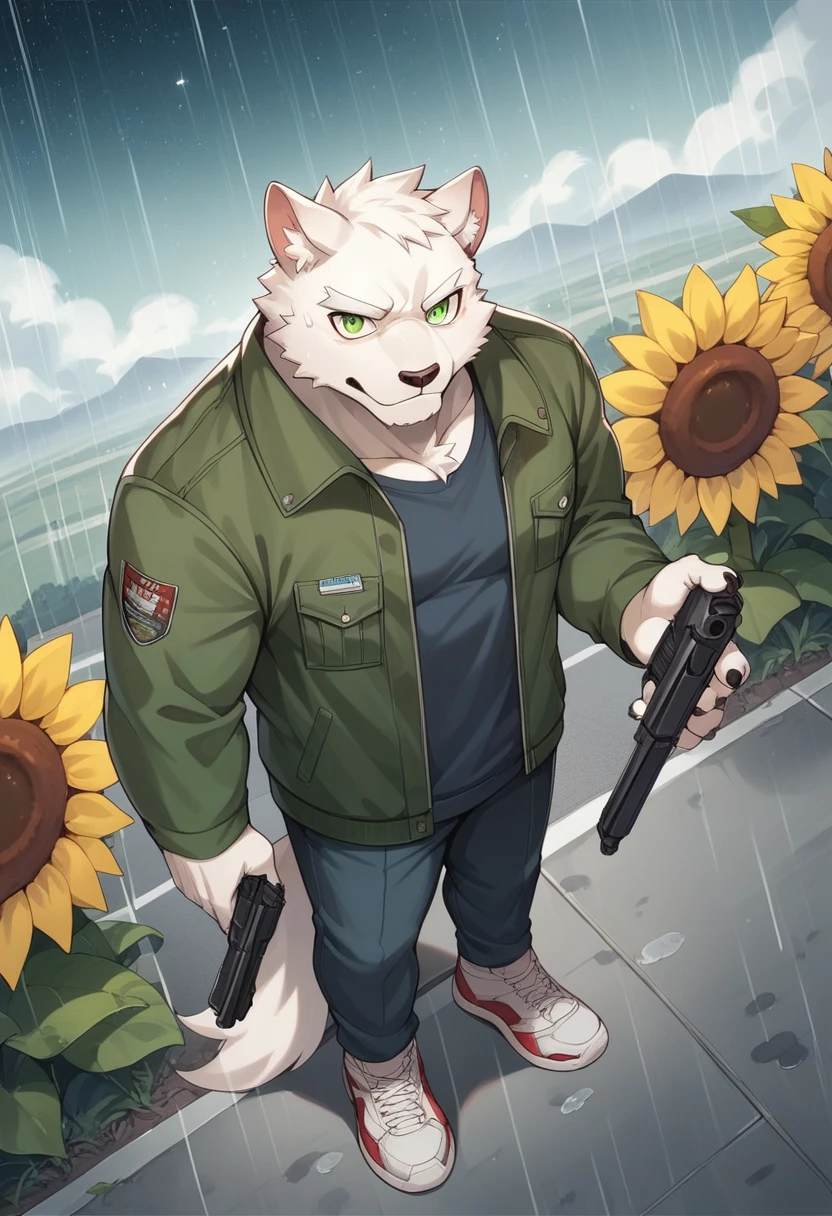 Masterpiece, Best Quality, absurd resolution, ultra detailed, perfect anatomy,
monomasa,
por canandne khai, for you.and.stars, (by DRKS:0.28), (by Pino Daeni:0.8),
furry, muscular male, lobo, well-built, Alone, green pupils, sneakers,
Jacket, dress, dynamic angle, high angle view, Blade, holding gun,
rain, cloudy, urban landscape, Sunflower field