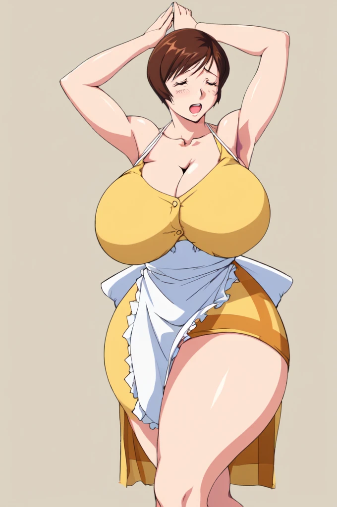 masterpiece, highest quality, High resolution, One girl, solo, sexual intercourse, Pornographic images, short hair, etsukoto, brown Eyes, fine grain, fine grain, (((Thick thighs, Plump thighs, Voluptuous thighs, Thighs alone are enough))), Huge and ample breasts, Cleavage, big long breasts, Naughty big,((big breasts are important))、((Naughty thighs)), L Cup, (thin:1.4),(Tight waist:1.4),  (yellow dress:1.4), orgasm, orgasm, closed eyes,((waist apron)),  white panty, (((Simple Background))), ((Wide Hips)), Shiny, Oily skin, Mature mother, Calf, Seductive mature woman, milf, Perfect body, Plus Size Model, curvy, ample, etsukoto, blush, clavicle, retro artstyle, 1990s (style), (thick thighs:1.4), ((Bare legs)), ((bursting breast)), firm breasts, (arms up:1.4), (from side:0.8),