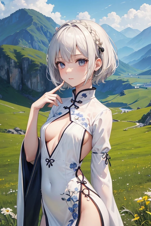 ((masterpiece,Highest quality)), 8k, High resolution, Wide grassland,Mountains in the distance,One girl, alone, Age 25,(short hair),(White Hair),(Finger Wave),((small breasts:1.2)),(Slender body:1.2),(Grim expression),Highly detailed skin and facial textures:1.3, Ultra-detailed, Detailed hands and fingers, Detailed eyes, ((Chinese ethnic minority costumes)),Cute and slim goddess, Fair skin, (Calm:0.9, Totally captivates you:1.0),