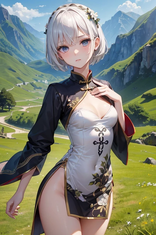 ((masterpiece,Highest quality)), 8k, High resolution, Wide grassland,Mountains in the distance,One girl, alone, Age 25,(short hair),(White Hair),(Finger Wave),((small breasts:1.2)),(Slender body:1.2),(Grim expression),Highly detailed skin and facial textures:1.3, Ultra-detailed, Detailed hands and fingers, Detailed eyes, ((Chinese ethnic minority costumes)),Cute and slim goddess, Fair skin, (Calm:0.9, Totally captivates you:1.0),