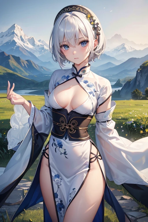 ((masterpiece,Highest quality)), 8k, High resolution, Wide grassland,Mountains in the distance,One girl, alone, Age 25,(short hair),(White Hair),(Finger Wave),((small breasts:1.2)),(Slender body:1.2),(Grim expression),Highly detailed skin and facial textures:1.3, Ultra-detailed, Detailed hands and fingers, Detailed eyes, ((Chinese ethnic minority costumes)),Cute and slim goddess, Fair skin, (Calm:0.9, Totally captivates you:1.0),