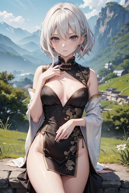 ((masterpiece,Highest quality)), 8k, High resolution, Wide grassland,Mountains in the distance,One girl, alone, Age 25,(short hair),(White Hair),(Finger Wave),((small breasts:1.2)),(Slender body:1.2),(Grim expression),Highly detailed skin and facial textures:1.3, Ultra-detailed, Detailed hands and fingers, Detailed eyes, ((Chinese ethnic minority costumes)),Cute and slim goddess, Fair skin, The depth of the written world is shallow,Background blur,(Calm:0.9, Totally captivates you:1.0),