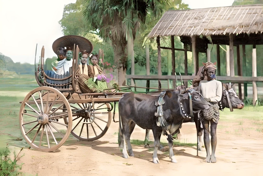 dark brown cows and lush background. wooden cart. earth ground.