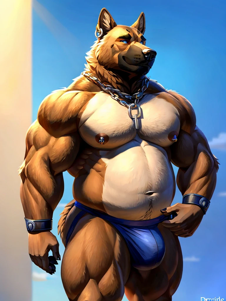 My fursona is a split species, part grizzly bear and part German Shepherd dog. He stands mostly bipeadel, but his general body shape alows him to easily take a quadrupedal sance. For his face, the muzzle leans more towards a bear's, while the ears are more like a dog's. The general head shape is a decent blend of the 2 species, with dark blue eyes. He has a large and thick silver septum nose piercing as well as a 2 silver cartilage cruncher ear hoops on his right ear. Around his neck is a thick chain linked together on his chest by a red padlock. He has broad shoulders like a bear, and thick arms combining muscles  covered with a layer of fat leading to bear paws with oposable thumbs. He has a black lether armband around eack large bicep. Each paw has a silver ring on what would be the ring finger and a dark red ring on what would be the middle finger. His chest is pretty prominent, with large stone pectorals covered in minimal fat with both nipples pierced with silver hoops. His torso is fairly muscular with a layer of fat barley covering his muscle gut. He does not wear a shirt at all. His waist is wide and his butt is fairly round and plump. He is naked, therefore he shows his exposed large canine genitalia. At the base of his back above the back of his jockstrap is a thick, fluffy German Sheppered tail. His thighs muscular and are quit large at the top but slowly tapper to be a little bit thiner the closer they are to the knees. From the knees down, his legs take on a dog's typical hind legs shaped with the elongated foot, ending in strong, thick dog paws. His fur pattern and colors are those of a Germen Shepered, with a little more orange coming through the light brown parts of his fur.