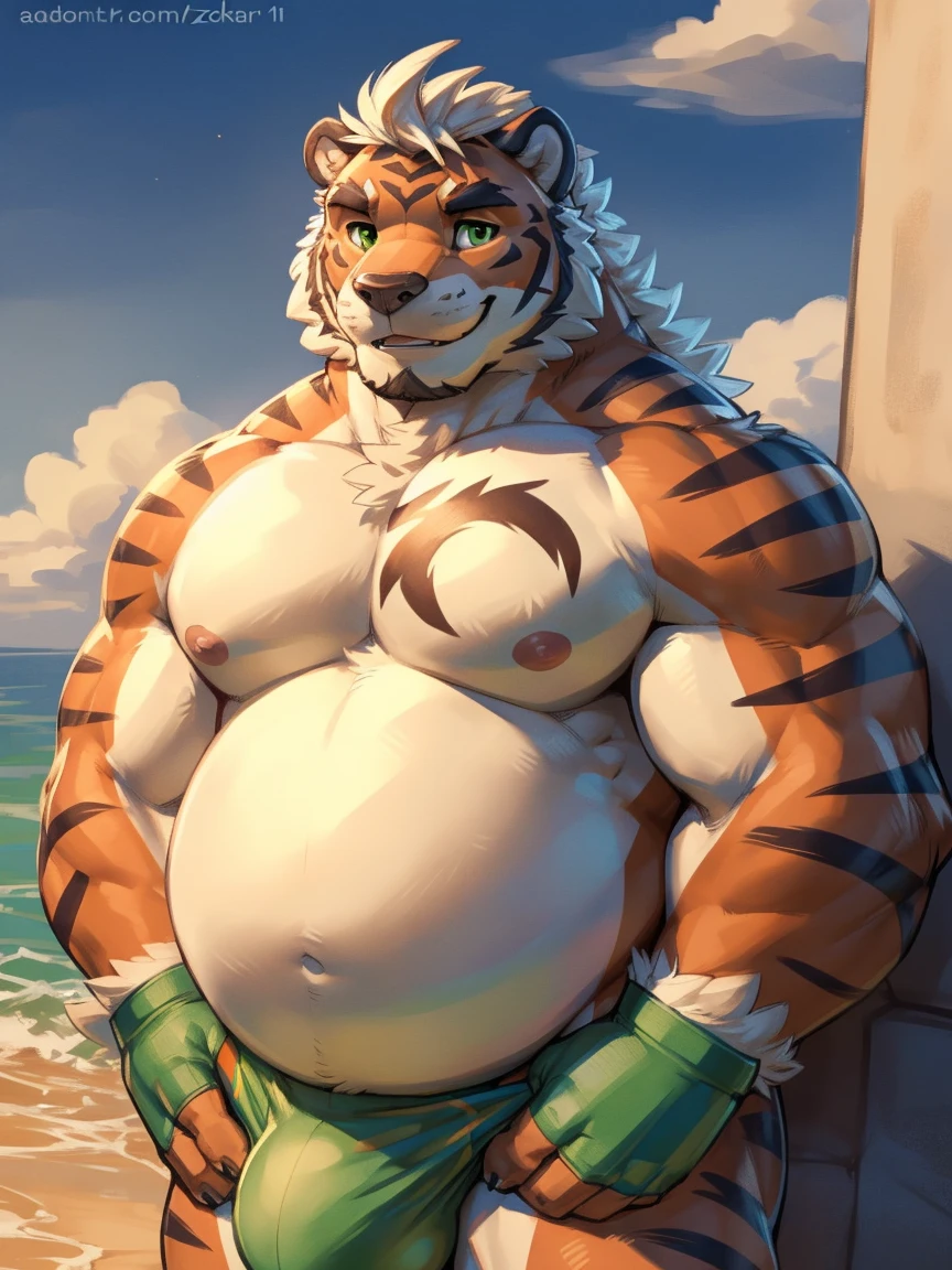 hombretigre, alone, (soft shading), 4k, anything, ((detailed face, detailed eyes, detailed)), (whole body), by Zackary911, by zaush, (by personal:0.5), muscular, muscular male, alone, (CHUBBY), stomach, green eyes, pose, smile, 1 guy, Big belly, nipples, green eyes, male focus, thighs, stomach, big bulge, big balls, naked pecs, green underwear, black short gloves, sexy crouch