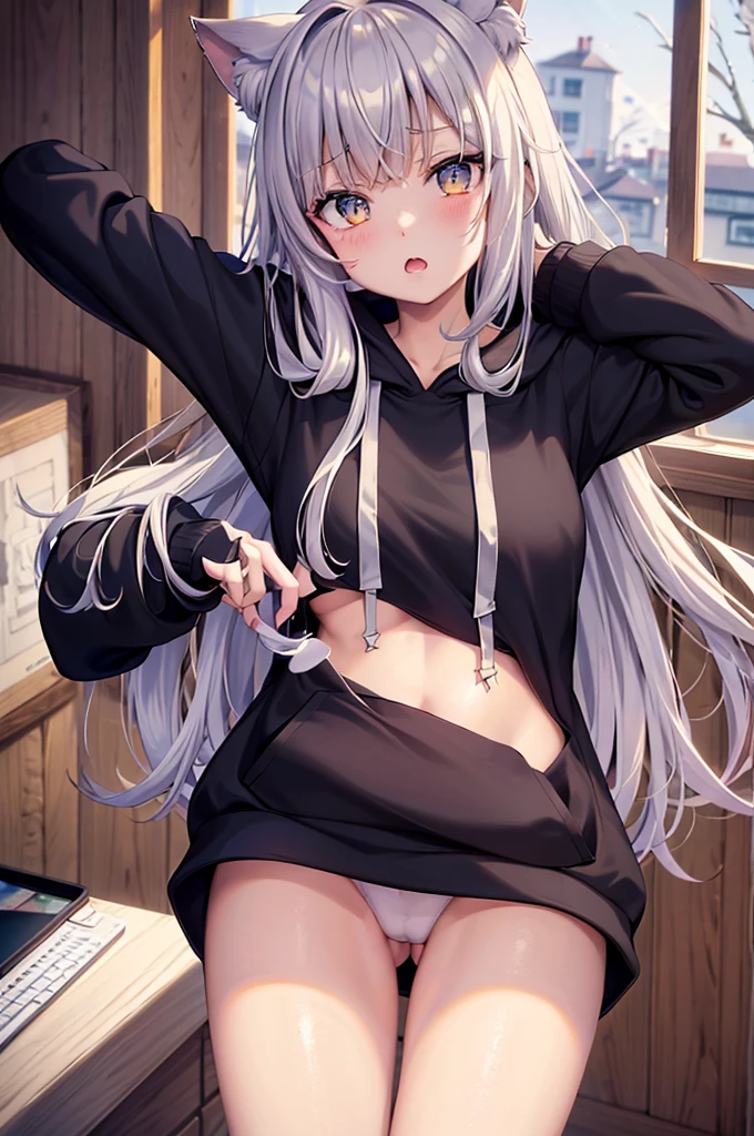 catgirl, 1gir, cat ears, ((cute)), masterpiece, best quality, perfect face, hoodie, hood, looking up, high angle, smal, furr, cozy, warm, window, night, long hoodie, no_pants, 4k, wallpaper, close up, digital art, anime style, beautiful eyes, intimate