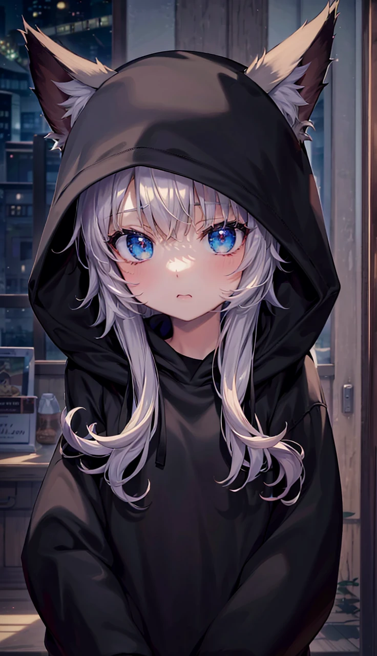 catgirl, 1gir, cat ears, ((cute)), masterpiece, best quality, perfect face, hoodie, hood, looking up, high angle, smal, furr, cozy, warm, window, night, long hoodie, no_pants, 4k, wallpaper, close up, digital art, anime style, beautiful eyes, intimate