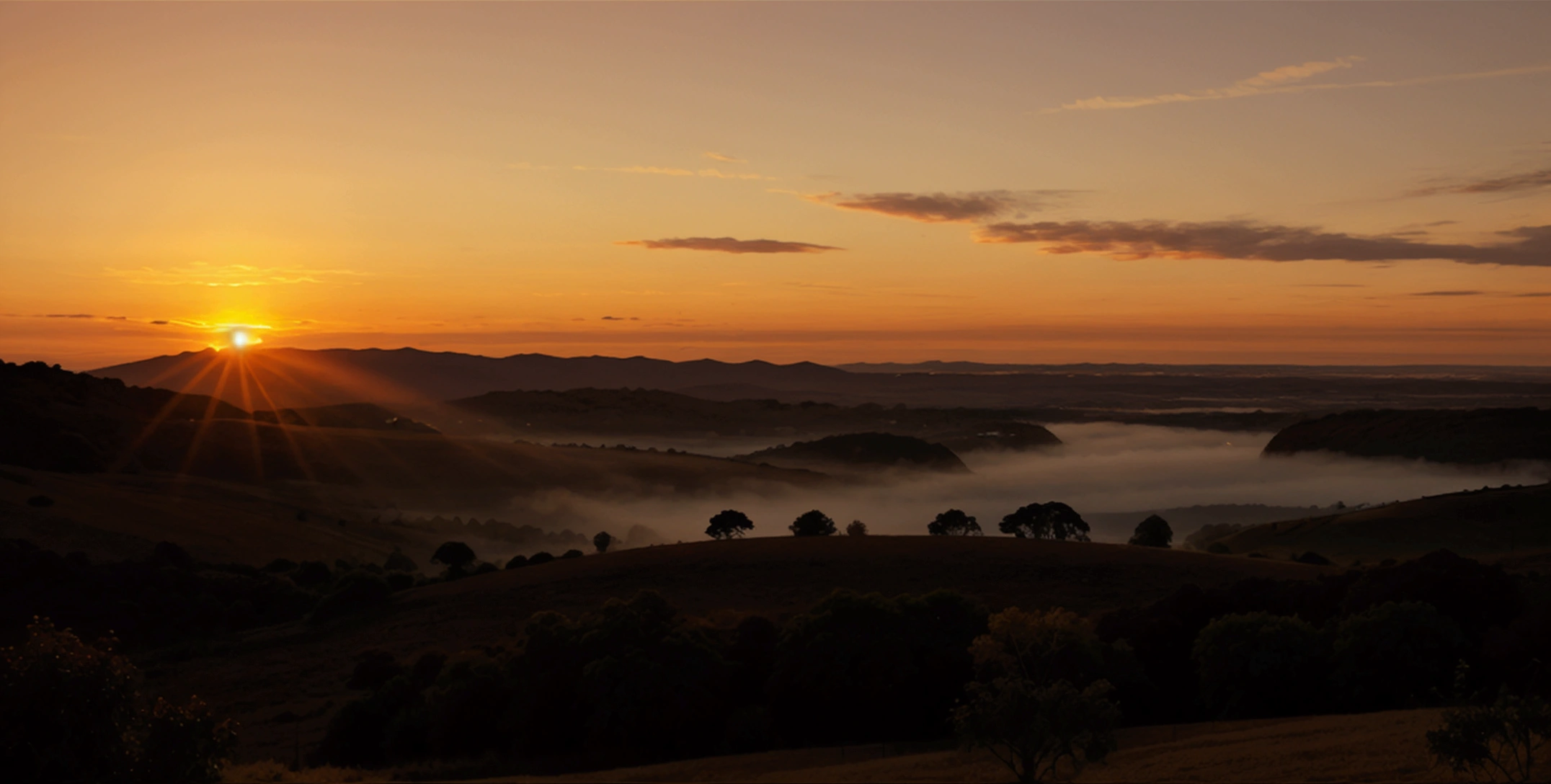 20 year old sunrise picture