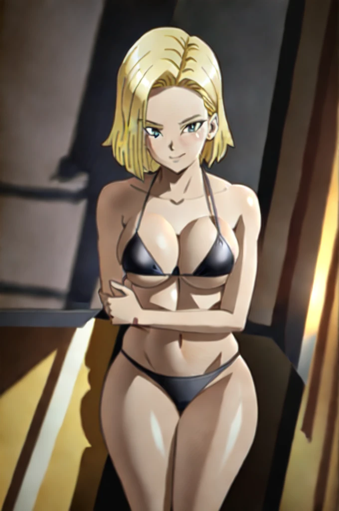(extremely detailed CG unity 4k wallpaper),(masterpiece),(best quality),(ultra-detailed),(best illustration),(best shadow),(absurdres),(detailed background), Android 18, 1girl, android 18, solo, blonde hair, source_anime, score_9, score_8_up, score_7_up, anime screencap, 1girl, solo, breasts, looking_at_viewer, blushed smile, large_breasts, cleavage, bare_shoulders, sitting, collarbone, crossed_legs, black underwear, from_below, breasts, large breasts, big breasts, huge breasts, big tits, giant breasts, small bikini, bikini, bare shoulders, bare arms, beach, ocean, underboob