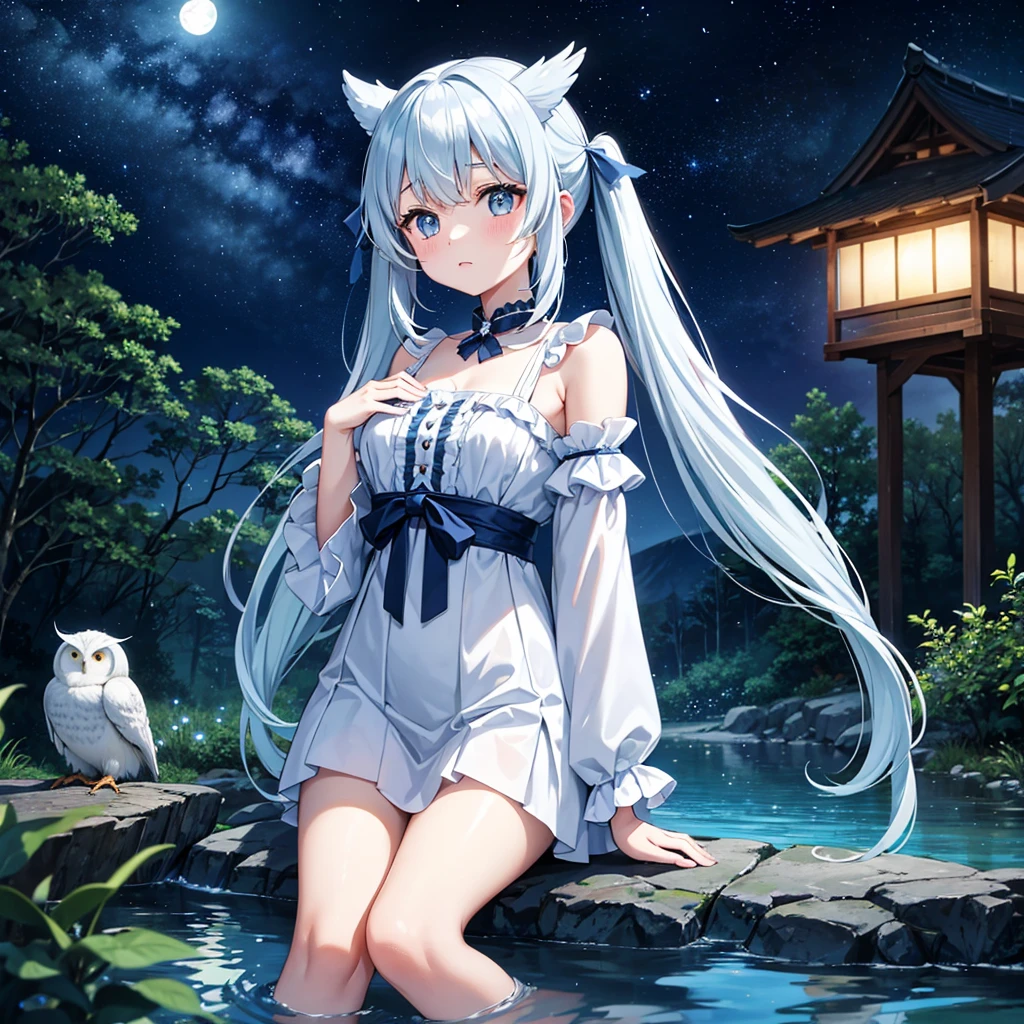 On the shore of the lake in the forest、Moonlit Night、The stars twinkle、Light blue long hair、Beautiful girl with twin tails、Fireflies flutter、Mysterious atmosphere、A pure white owl is perched on the girl&#39;s shoulder、Beautiful girl with an adorable smile