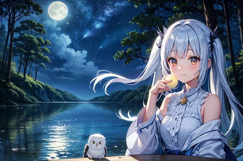 On the shore of the lake in the forest、Moonlit Night、Big Moon、shooting star、Light blue long hair、Beautiful girl with twin tails、Adorable smile、A big pure white owl on his shoulder、Fireflies flutter、Mysterious atmosphere、